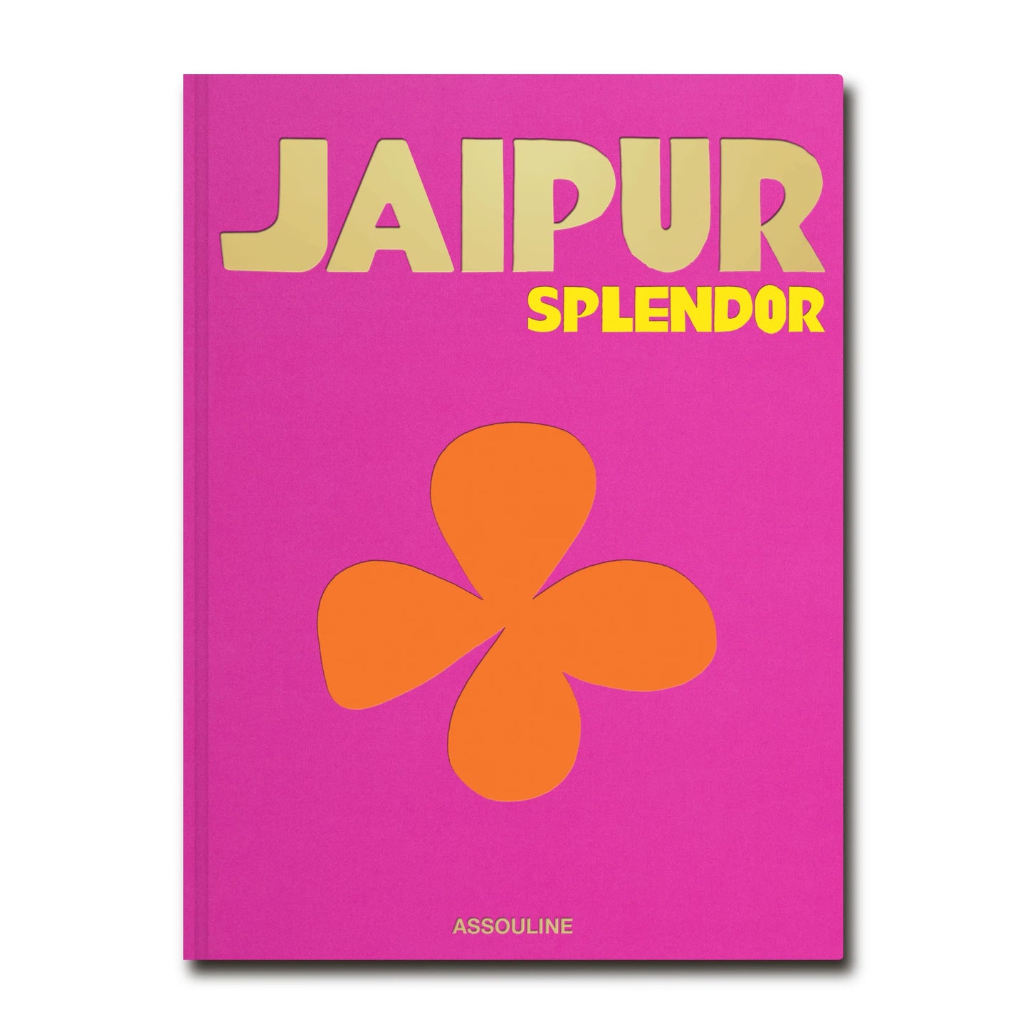 Coffee Table Book Jaipur
